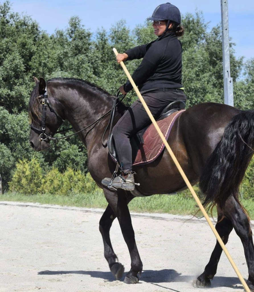 Escanias Vangelios in working equitation